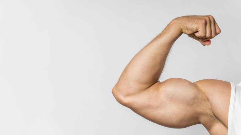 biceps e triceps diferença